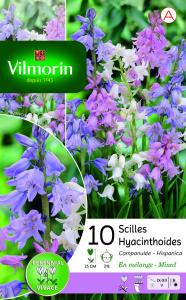 Scilla Campanule en Mélange (x10)